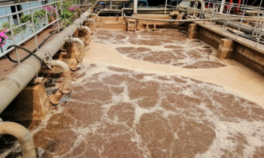 Tìm hiểu dịch vụ cung cấp bùn vi sinh xử lý nước thải là gì?