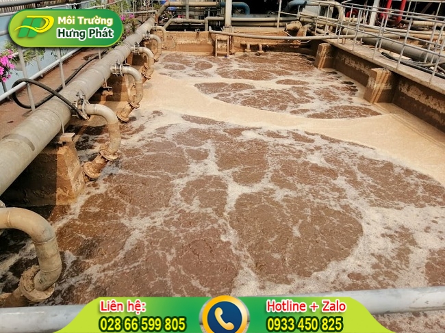 Quy tr&igrave;nh của dịch vụ cung cấp b&ugrave;n vi sinh xử l&yacute; nước thải hiện nay