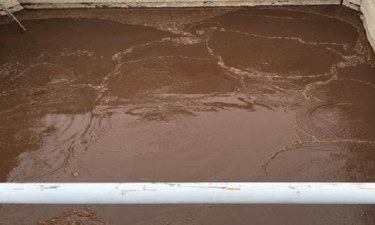 Công ty cung cấp vận chuyển bùn vi sinh Bến Tre Hưng Phát uy tín 