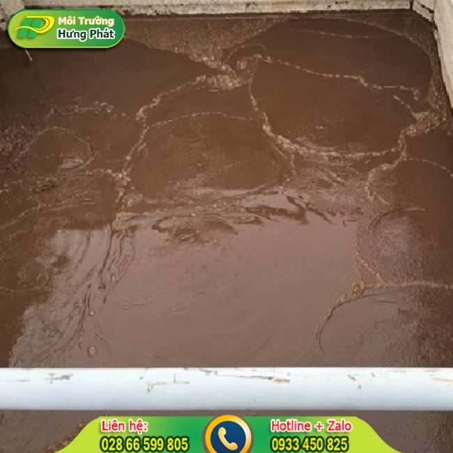 bunvisinhcothebisuyyeuneuquatrinhvanchuyenkhongdatchuan