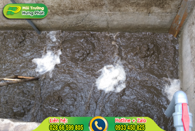 banggiabunvisinhhoattinh