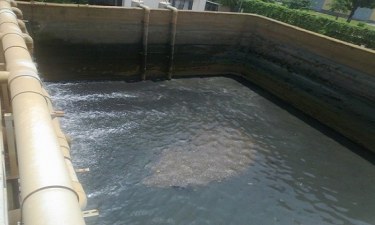 Công ty cung cấp vận chuyển bùn vi sinh Cà Mau Hưng Phát uy tín