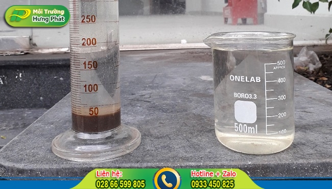 nencannhacvecacloaibunvisinhgiaquare