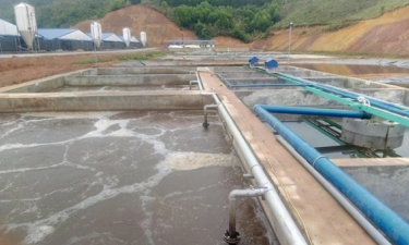 Công ty cung cấp vận chuyển bùn vi sinh Vĩnh Long