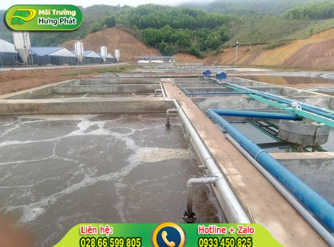 congtycungcapvanchuyenbunvisinhvinhlong