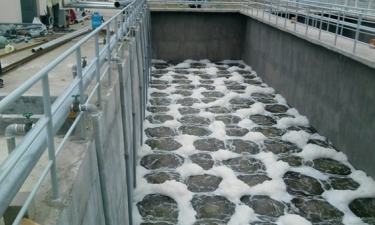 Công ty cung cấp vận chuyển bùn vi sinh Tiền Giang 