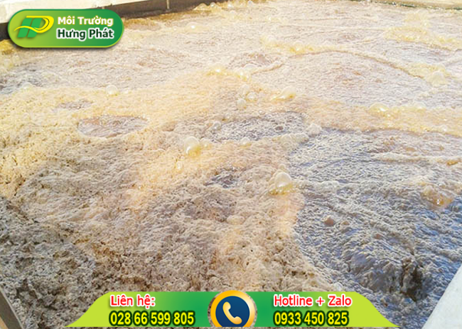 phan tich va xac dinh luu luong bun vi sinh can thiet