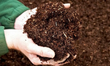 Phương pháp xử lý bùn thải bia hiệu quả, tiết kiệm chi phí