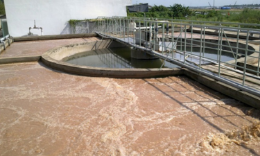 Phương pháp xử lý bùn thải thủy sản hiệu quả, tiết kiệm