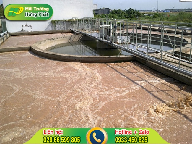 Ảnh hưởng của b&ugrave;n thải thủy sản đến m&ocirc;i trường