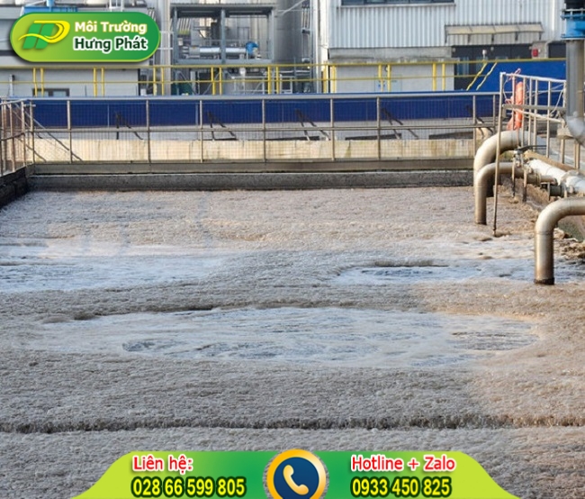 Phương ph&aacute;p sinh h&oacute;a gi&uacute;p xử l&yacute; hiệu quả b&ugrave;n thải thủy sản