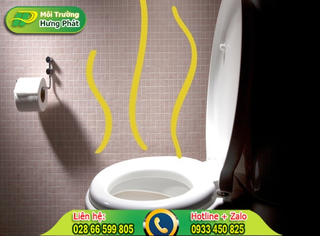 Nguy&ecirc;n nh&acirc;n g&acirc;y ra tắc nghẽn bồn cầu