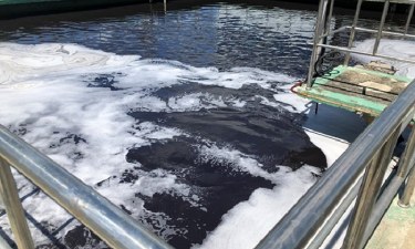 Xử lý nước thải có độ màu cao như thế nào, có hiệu quả không?