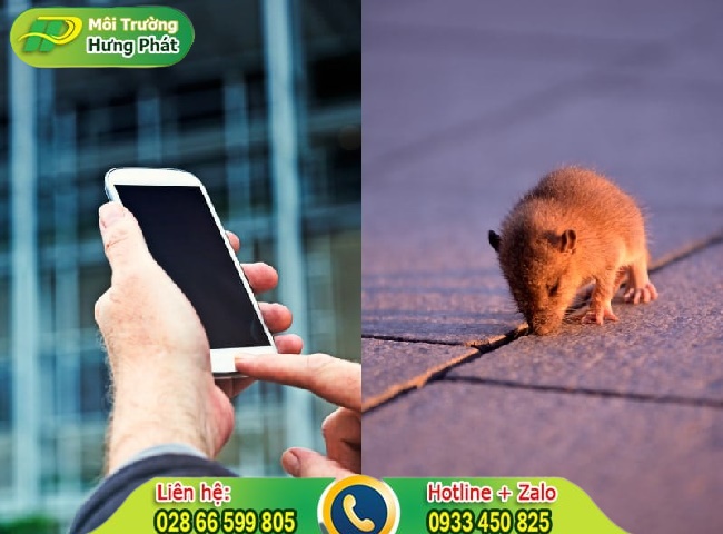 Cách đuổi chuột bằng âm thanh