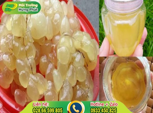 Cách đuổi chuột bằng mỡ trăng