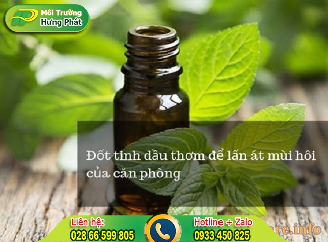 Khử m&ugrave;i ẩm mốc trong ph&ograve;ng nhanh ch&oacute;ng