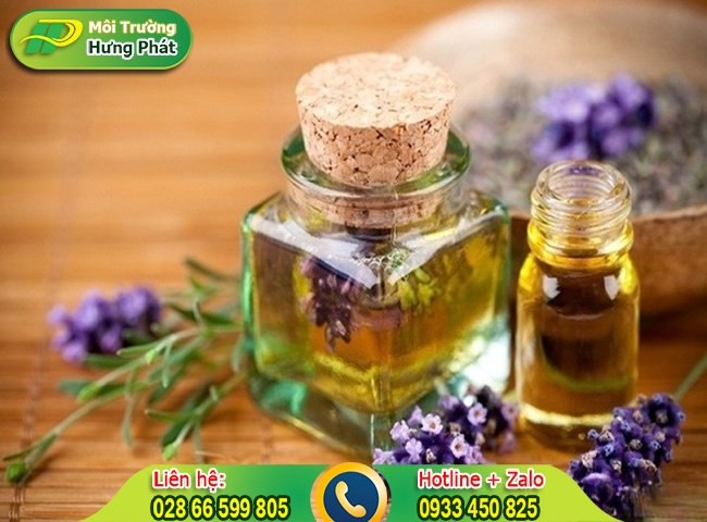 Sử dụng tinh dầu khử mùi nhà vệ sinh