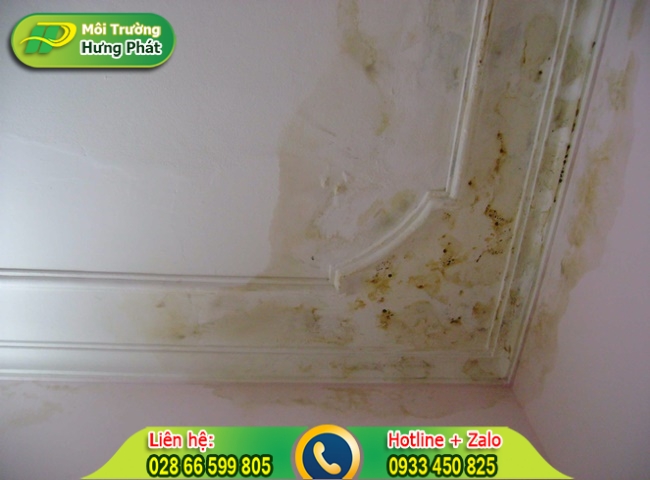 Sử dụng vật liệu kém chất lượng khiến trần nhà xuống cấp nhanh chóng