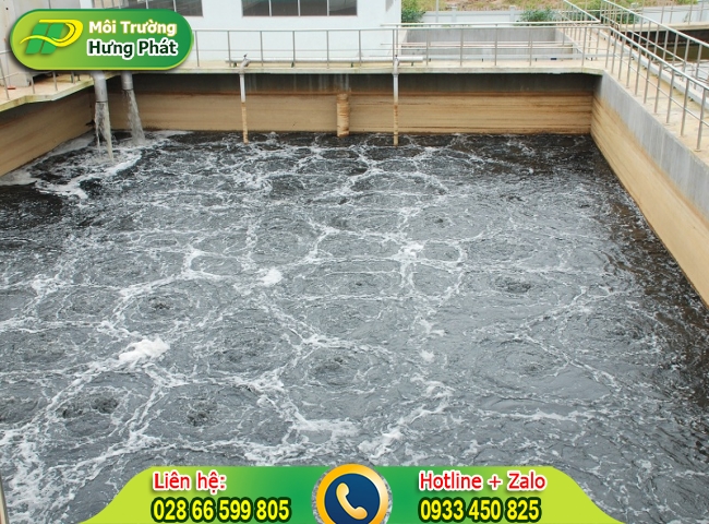 Xử l&yacute; nước thải chăn nu&ocirc;i c&oacute; m&ugrave;i h&ocirc;i nặng