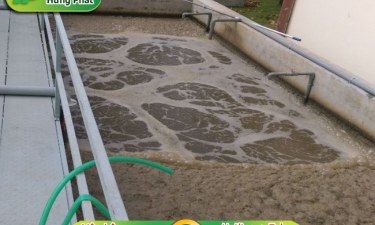 Các phương pháp xử lý nước thải chăn nuôi tiết kiệm, hiệu quả