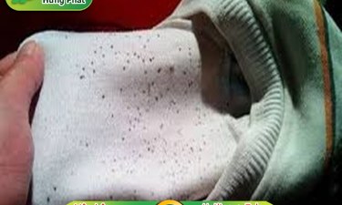 Các cách tẩy vết mốc trên quần áo đơn giản, hiệu quả