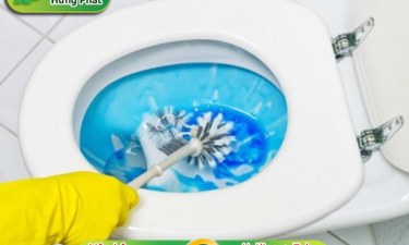 5 loại nước tẩy bồn cầu được sử dụng phổ biến 