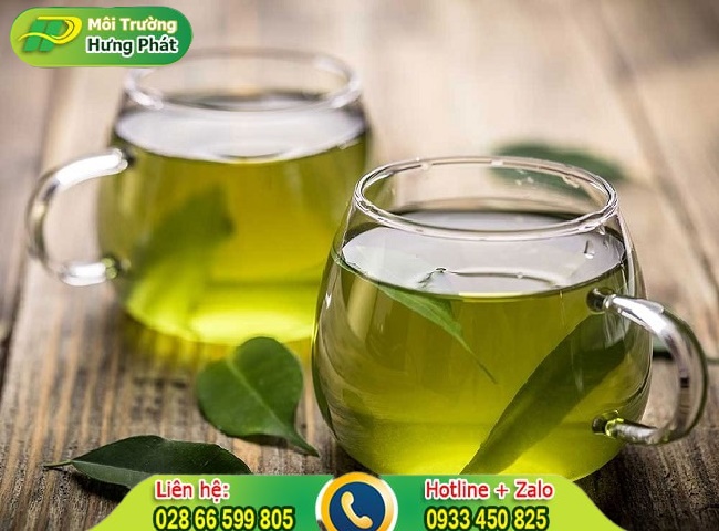 Tẩy vết ố v&agrave;ng bồn cầu bằng tr&agrave; xanh