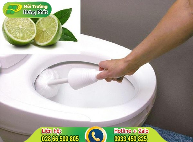 Tẩy vết ố v&agrave;ng bồn cầu bằng ph&egrave;n chua v&agrave; chanh