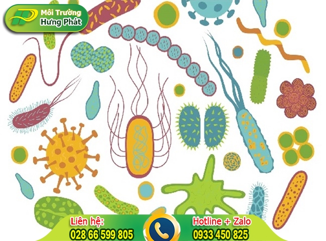 Xử l&yacute; dầu mỡ trong nước thải hiệu quả bằng vi sinh ăn mỡ