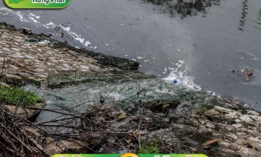 Ô nhiễm môi trường nước và hướng khắc phục