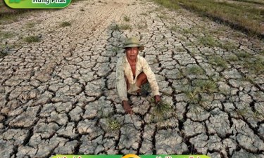 Ô nhiễm môi trường đất - nguyên nhân, cách khắc phục