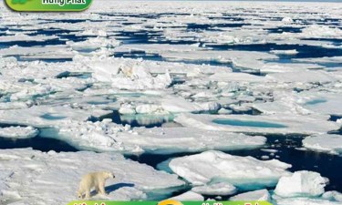 Nguyên nhân và biện pháp khắc phục ô nhiễm môi trường biển